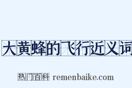 大黄蜂的飞行近义词是什么意思的图片